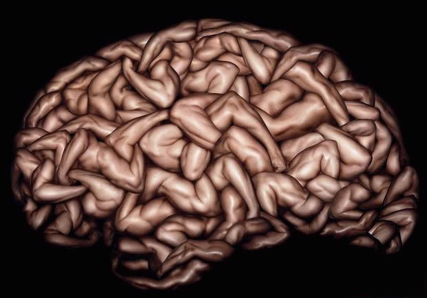  Black out della percezione: il cervello deve mediare
