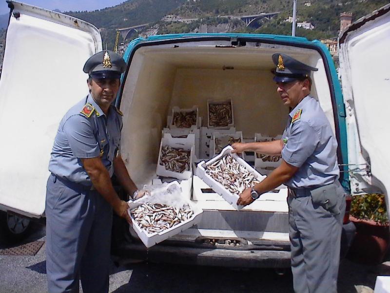  Salerno, la guardia di Finanza sequestra 1 tonnellata di novellame di triglia