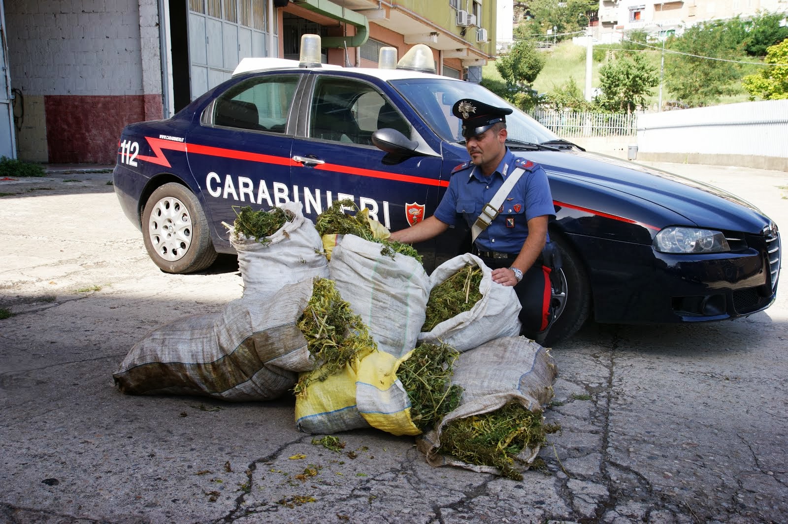  Piante di cannabis in un ex campo di calcetto: carabinieri arrestano 2 coltivatori