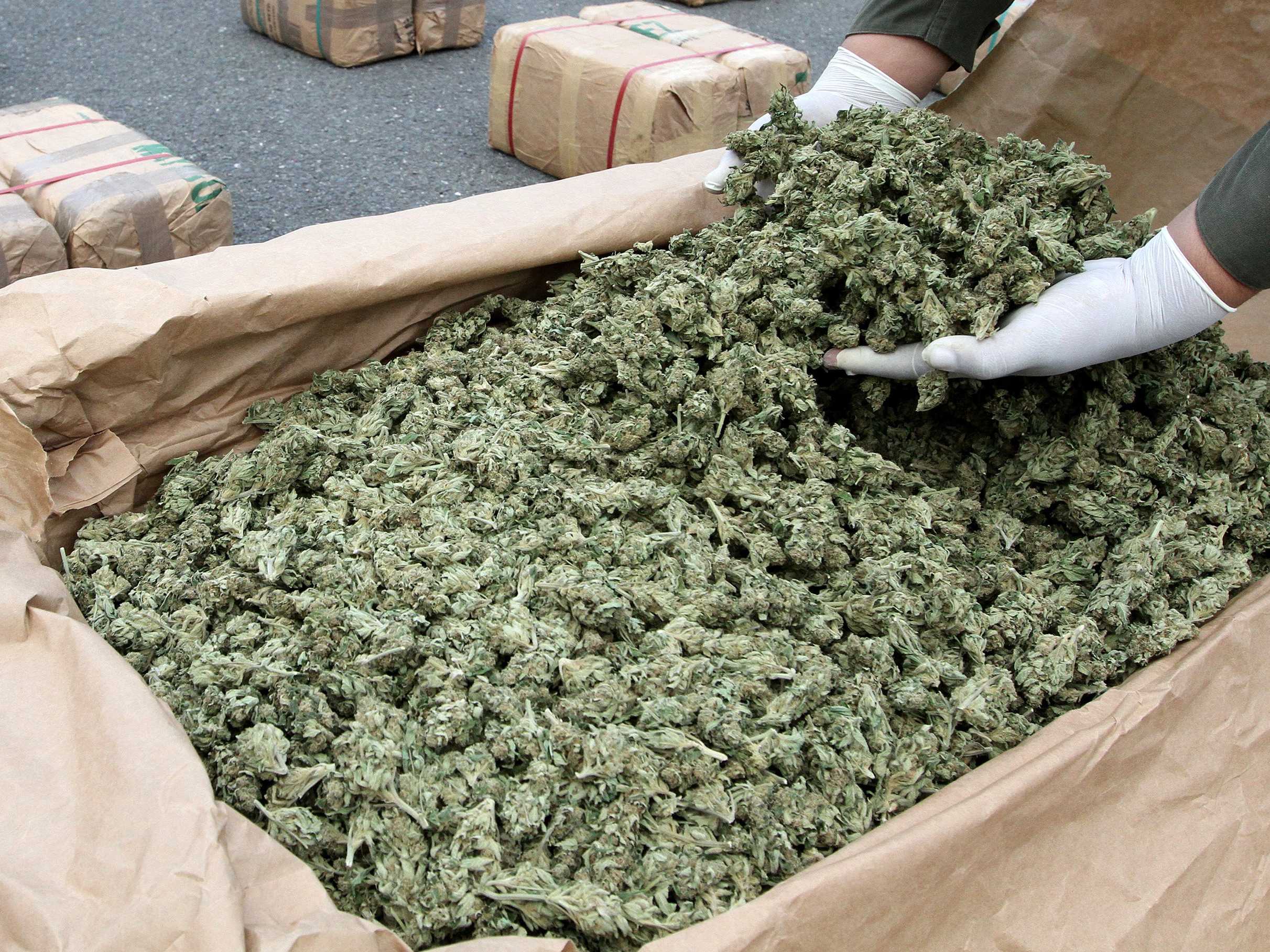  Termoli, 2 tonnellate di marijuana ripescate vicino alle coste molisane – VIDEO