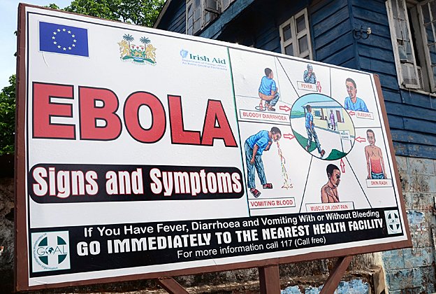  Ebola, attivo da oggi il numero  di pubblica utilità 1500  per le emergenze sanitarie