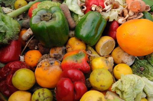  Quasi 1/3 del cibo prodotto viene sprecato in parte lungo la catena alimentare
