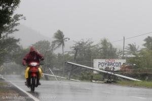 Typhoon Hagupit Devastation in The Philippines