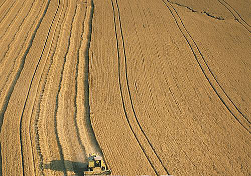  Agricoltura, CNH Industrial ed Evogene annunciano la nuova collaborazione