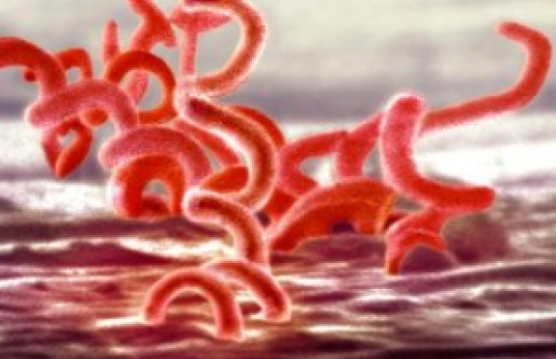 La sifilide acceleratore epidemico dell’infezione da Hiv: I risultati di uno studio ISS-IRCCS