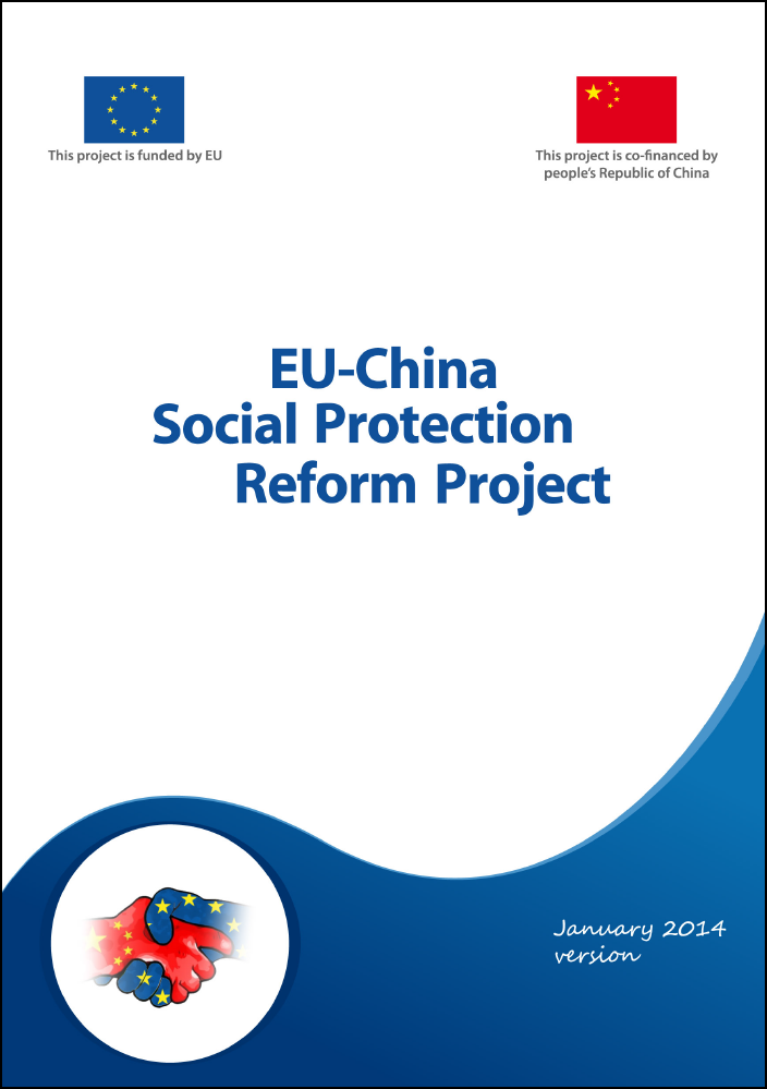  Social Protection Reform Project, Contratto tra l’INPS e la Delegazione Europea