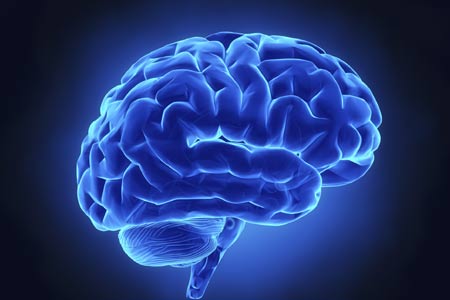  La risonanza magnetica della neuromelanina può confermare la diagnosi di Parkinson  