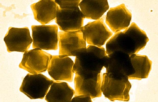  Nanoparticelle d’oro identificano e uccidono le cellule tumorali
