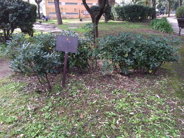  Napoli, giorno della memoria: roseto e targa da restaurare al parco Mascagna