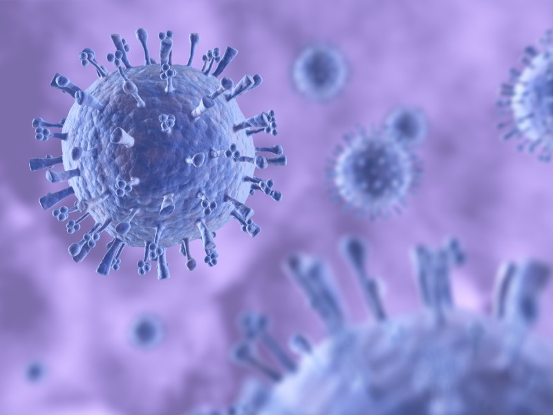  Influenza H1N1 impropriamente definita “suina”: le precisazione del Ministero