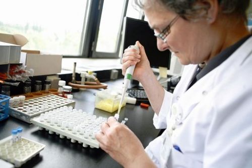  Epatite C cronica, Regione individua 25 centri per prescrizione farmaco Sovaldi