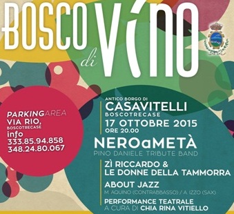 BoscoDiVino, la Festa del Vino, al borgo Casavitelli di Boscotrecase