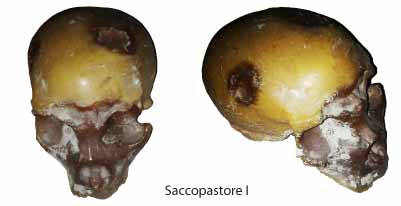  INGV: l’uomo di Neanderthal arriva a Roma 250.000 anni fa