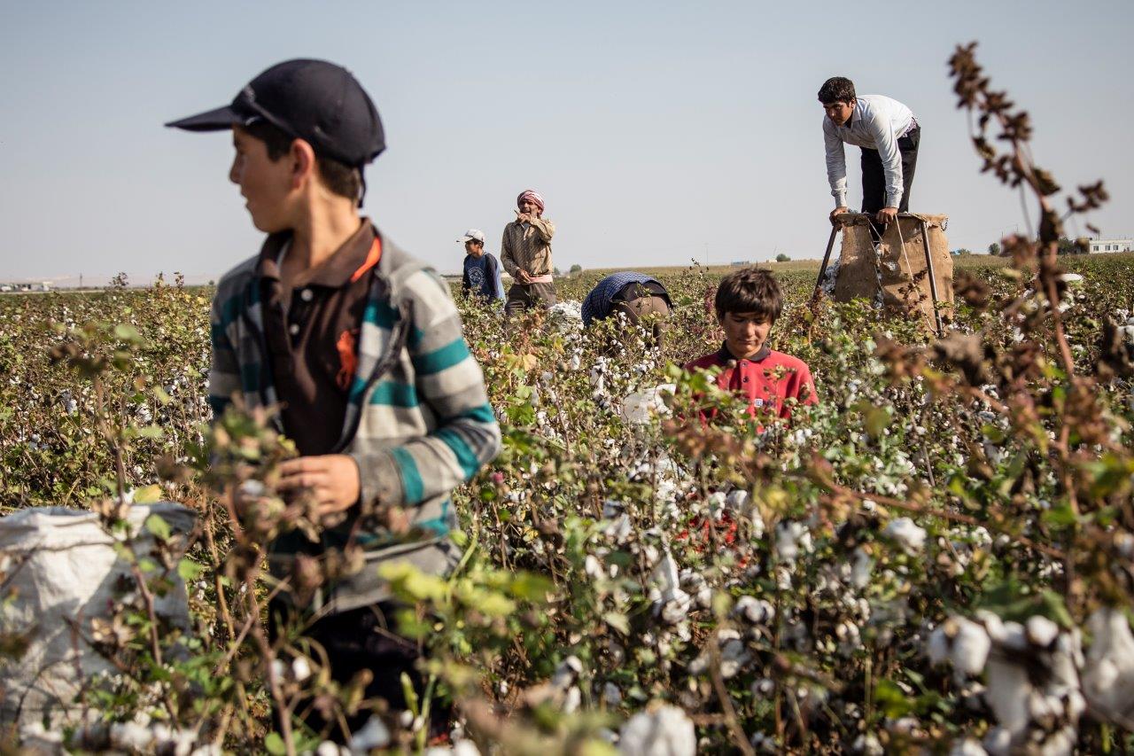  Nuovo report di Terre des Hommes: incremento del lavoro minorile tra i bambini rifugiati siriani