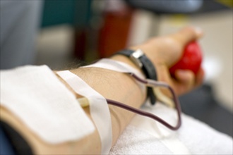  Sangue, all’ISS il report 2015 sui donatori: ancora troppo pochi i giovani