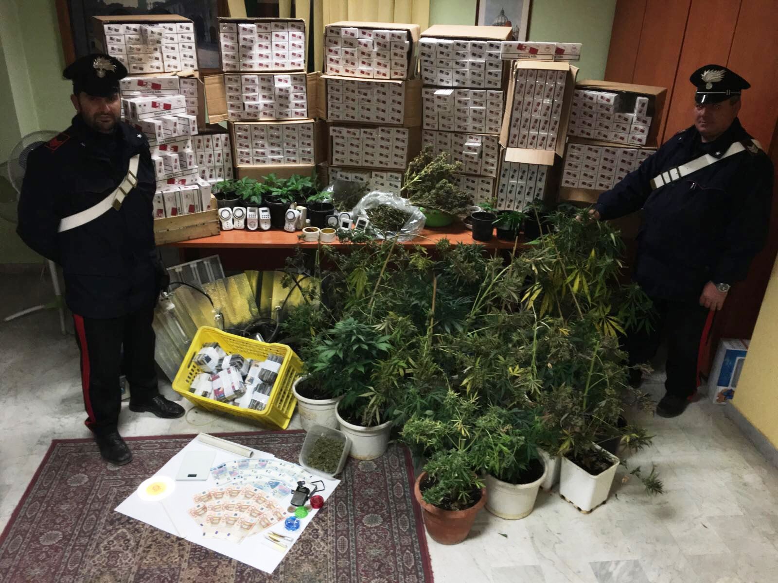  Acerra, nascondeva nel garage piante di cannabis, sigarette di contrabbando e dvd pirata: arrestato 52enne