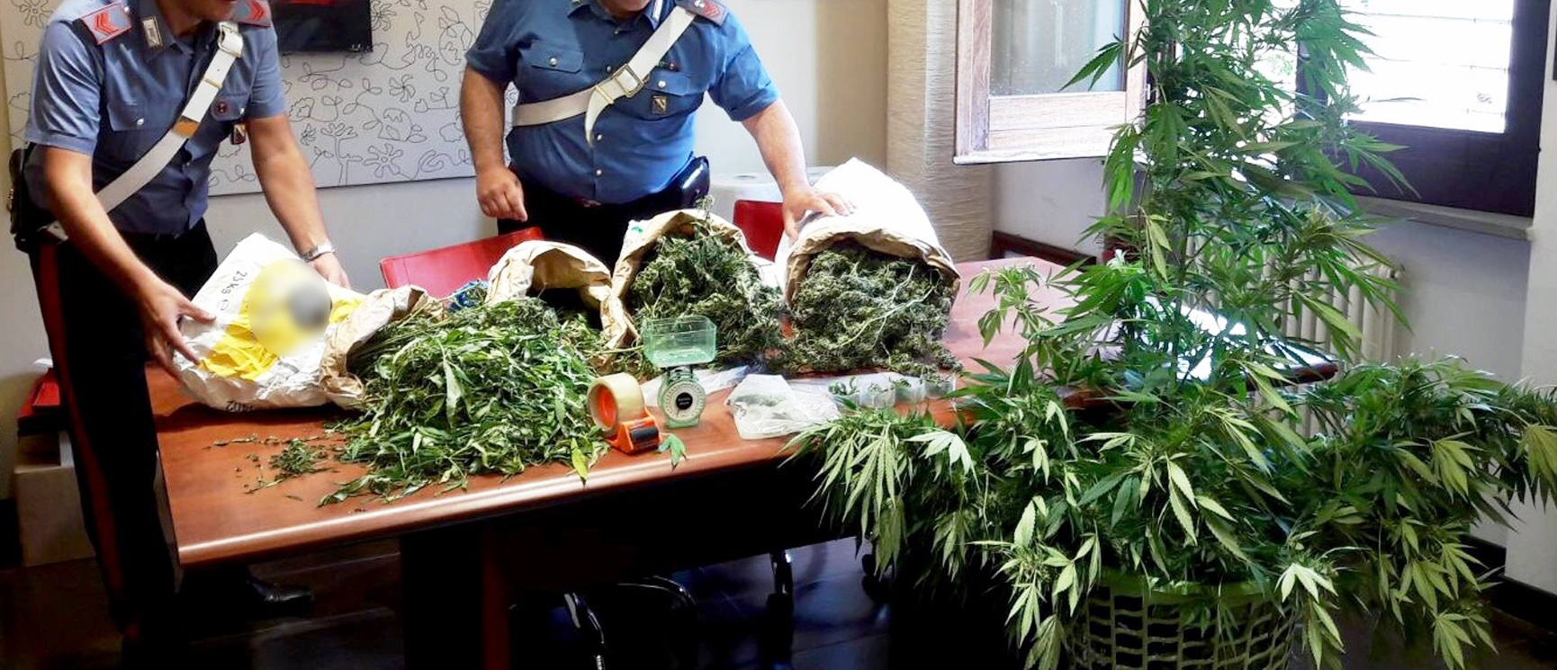  Somma Vesuviana, coltivava piante di cannabis in garage: 59enne arrestato dai carabinieri