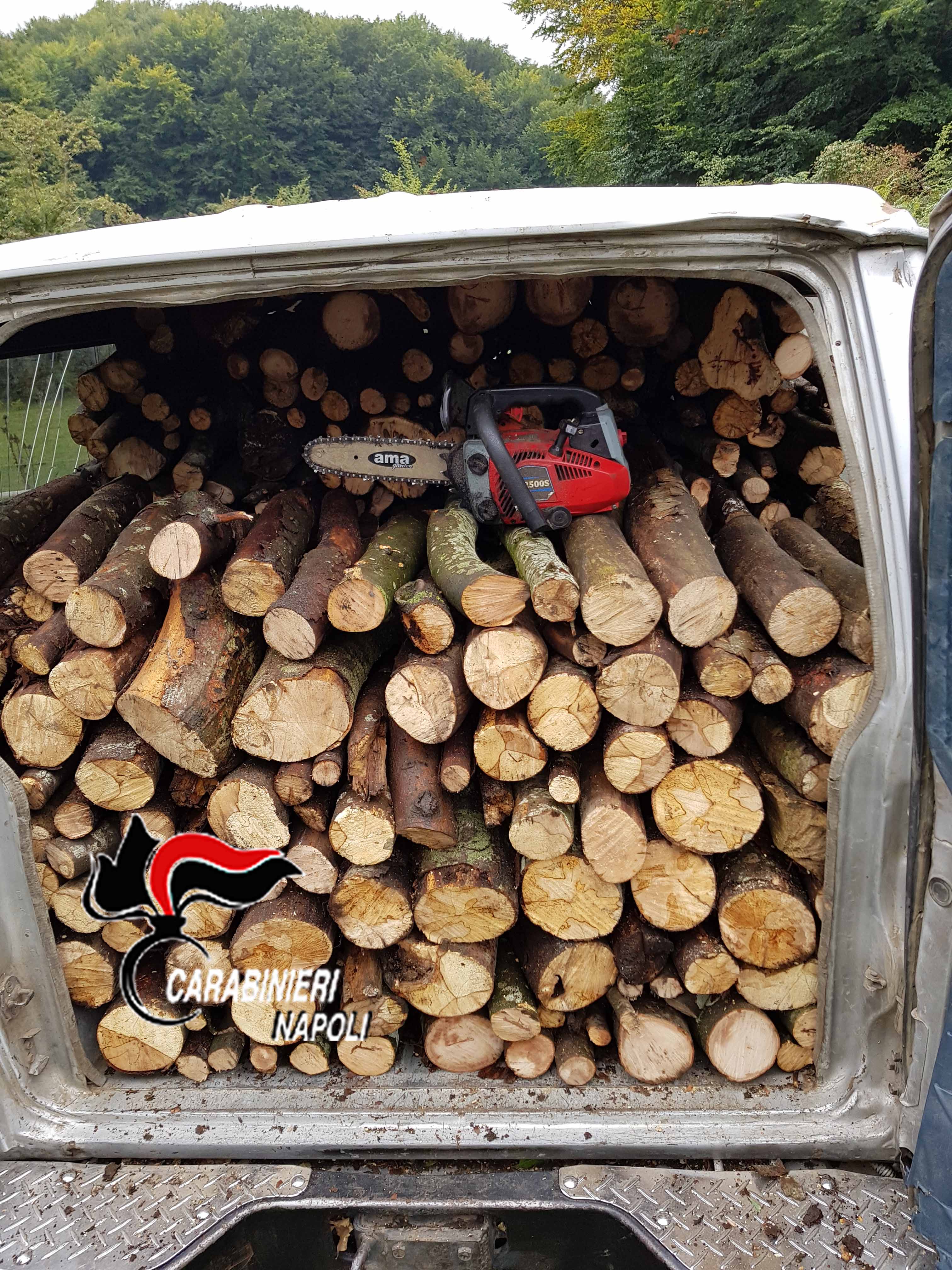  Roccarainola, sorpreso a rubare legna in località Fossa della Neva: denunciato 44enne