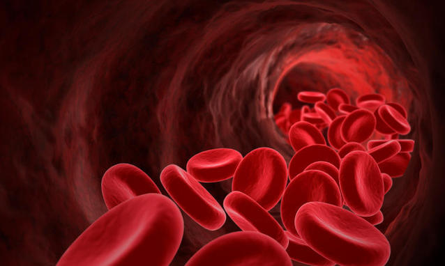  Chikungunya, ISS: al via raccolte straordinarie sangue in tutta Italia