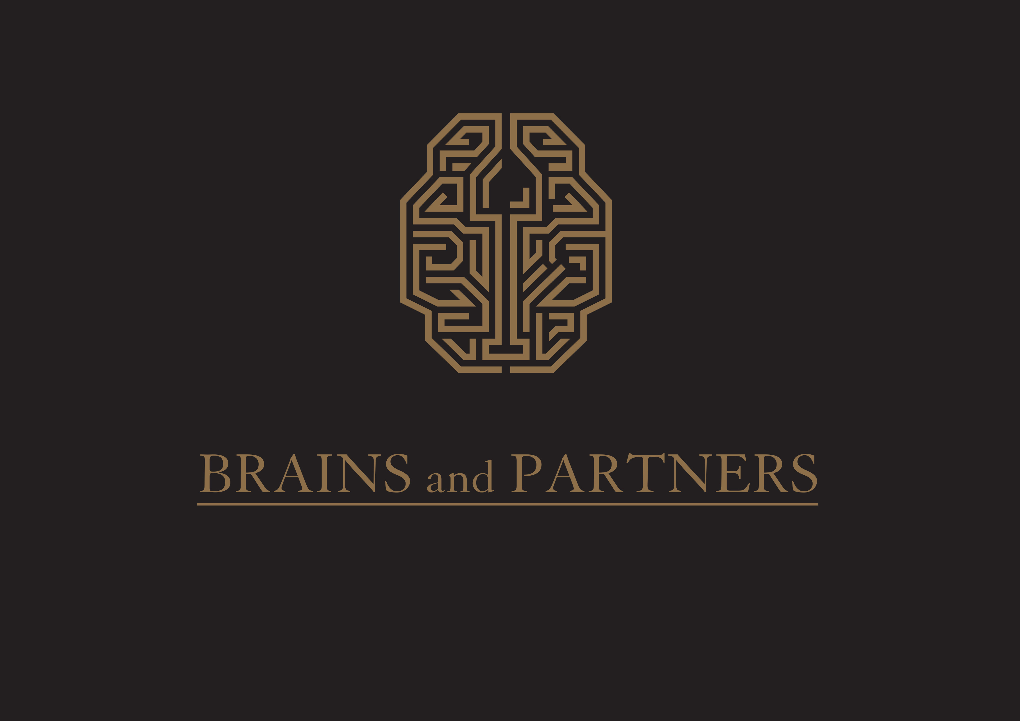  Brains and Partners, azienda giovanissima nata da una fusione di intenti