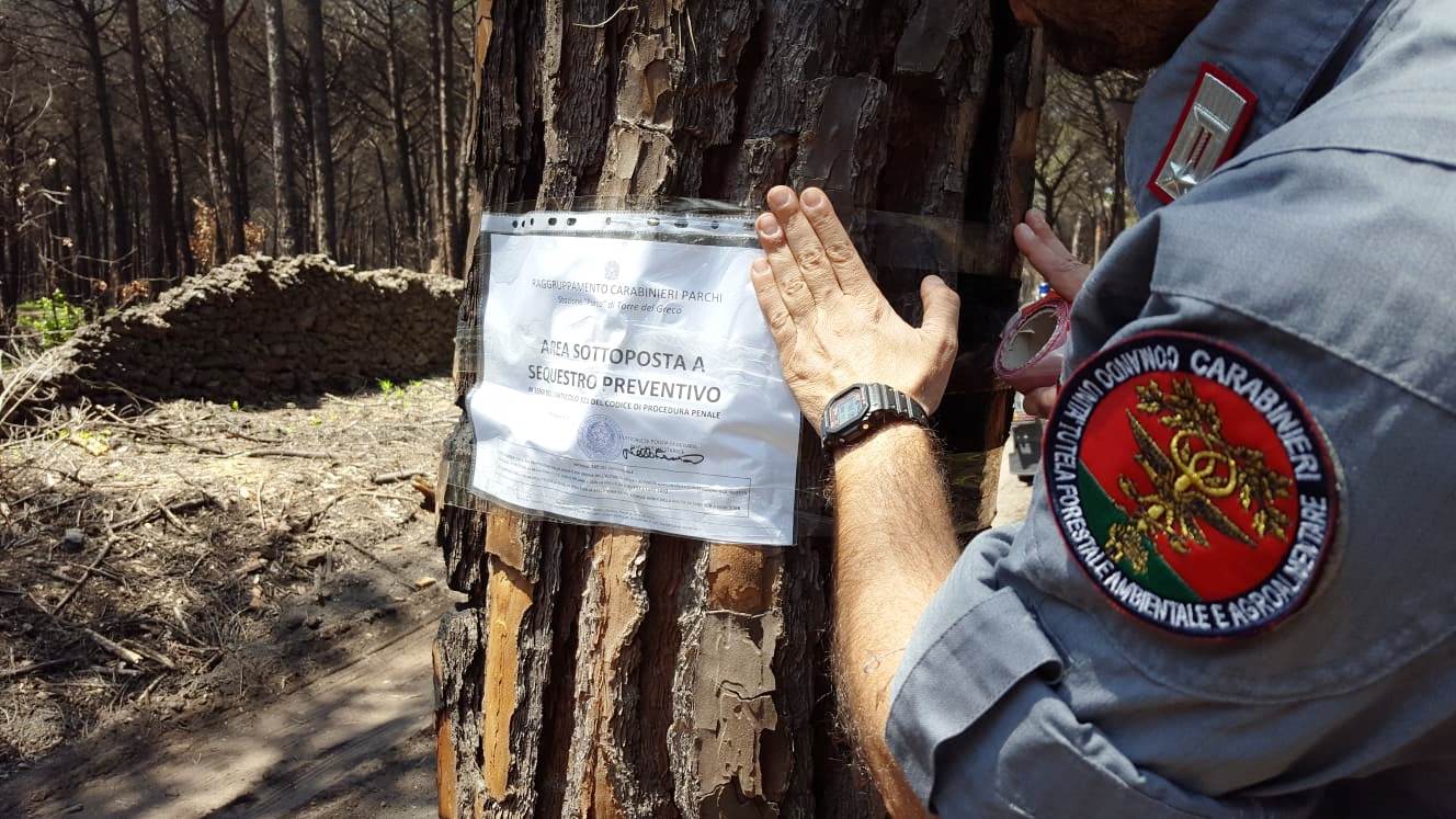  Torre del greco, tagliano conifere e realizzano piste abusive nel parco del Vesuvio: 8 persone denunciate