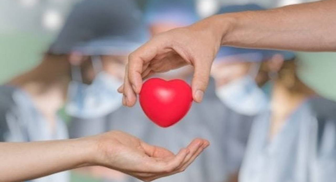  Donazione di organi e tessuti: l’appello di medici e infermieri