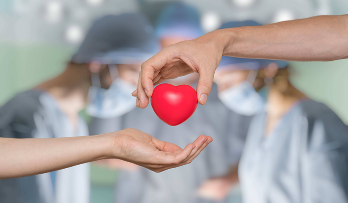  Giornata nazionale della donazione degli organi e tessuti-Annunciato al Cardarelli il prelievo di cuore da un paziente di 75 anni